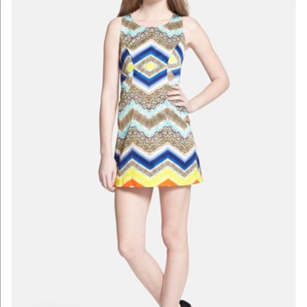 Milly animal print chevron dress